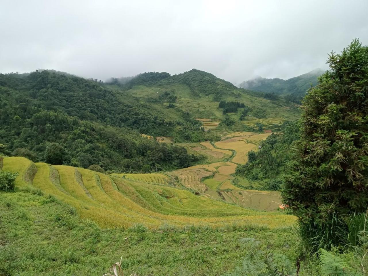 Bac Ha Charm Stay Екстериор снимка