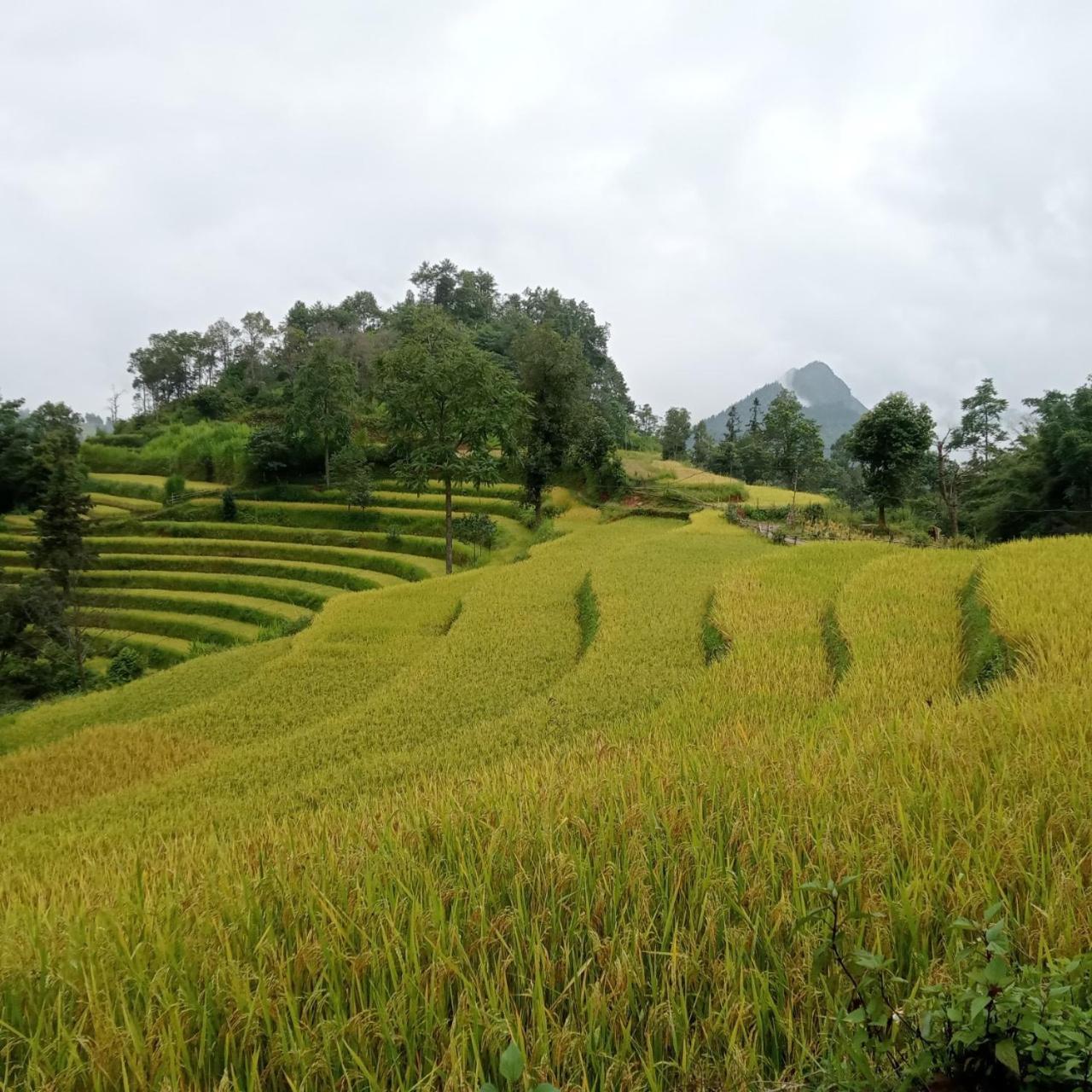 Bac Ha Charm Stay Екстериор снимка