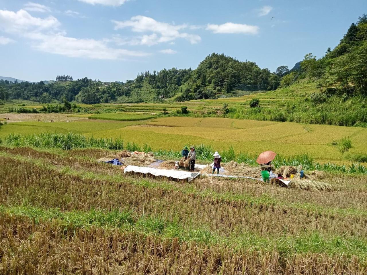 Bac Ha Charm Stay Екстериор снимка